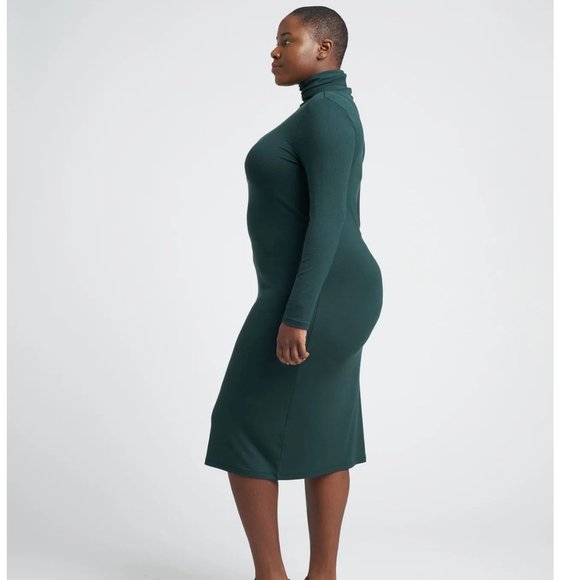UNIVERSAL STANDARD turtleneck dress - Picture 2 of 4
